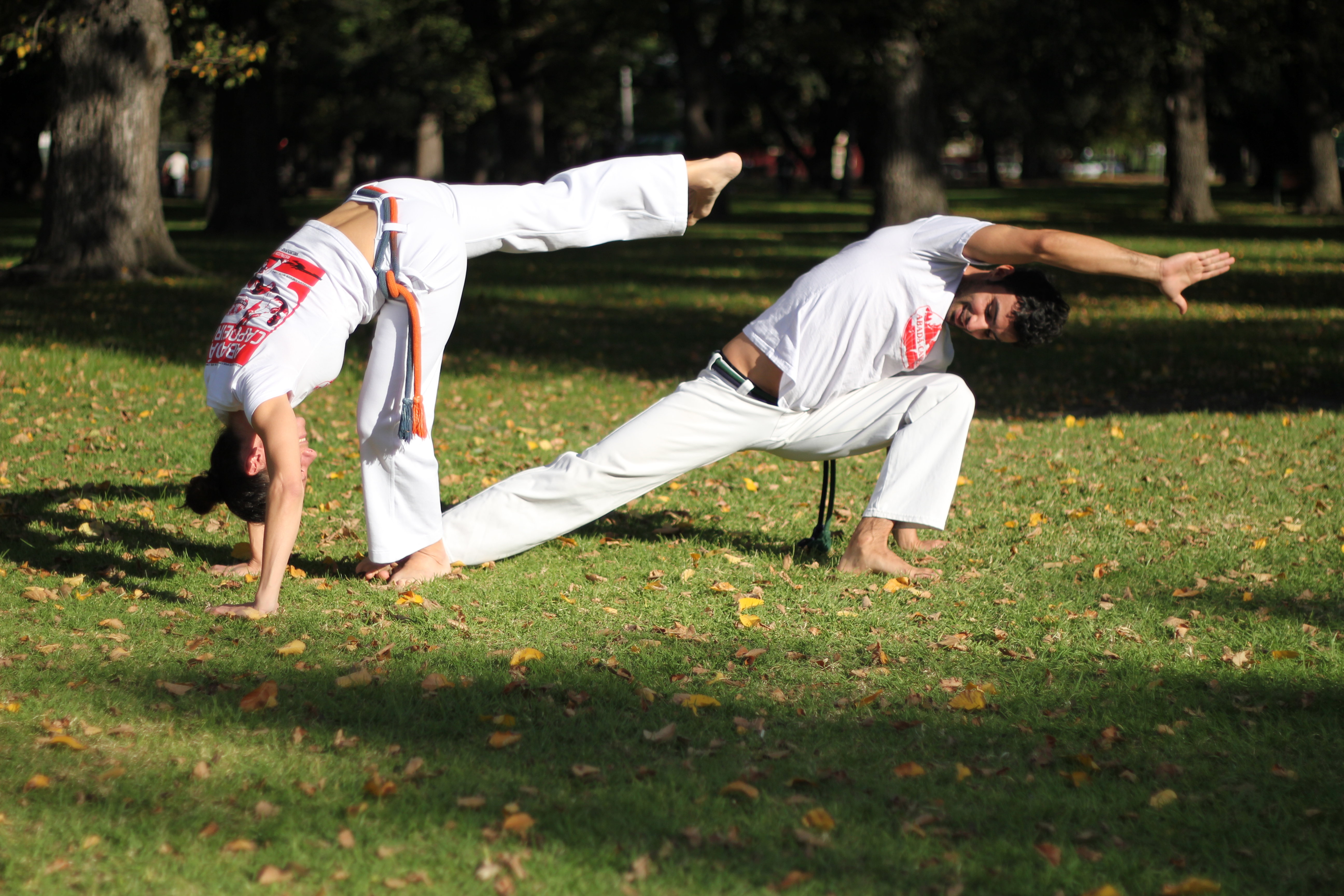 Read more about the article Abada-Capoeira in Fitzroy North